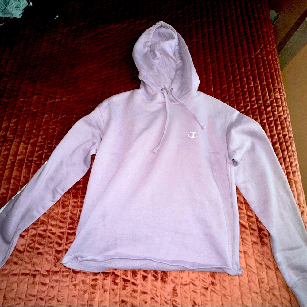 NWOT Champion Cropped Hoodie